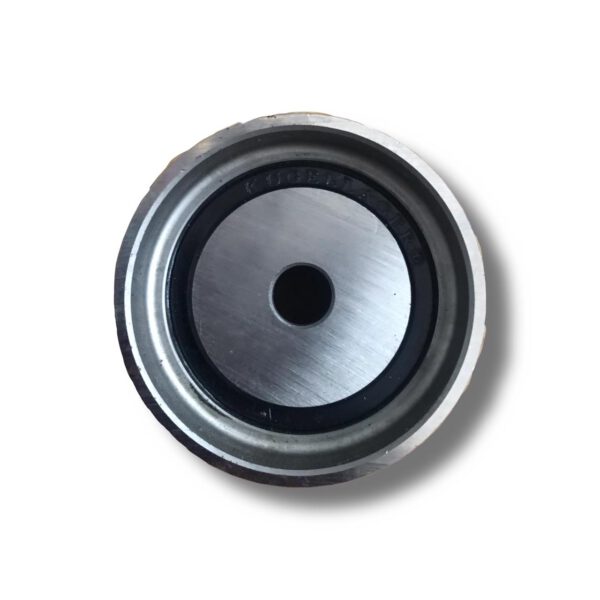 Tensor distribución polea fija Peugeot 2.0 dw10